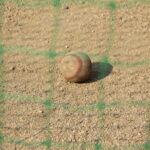 brown baseball on brown field during daytime